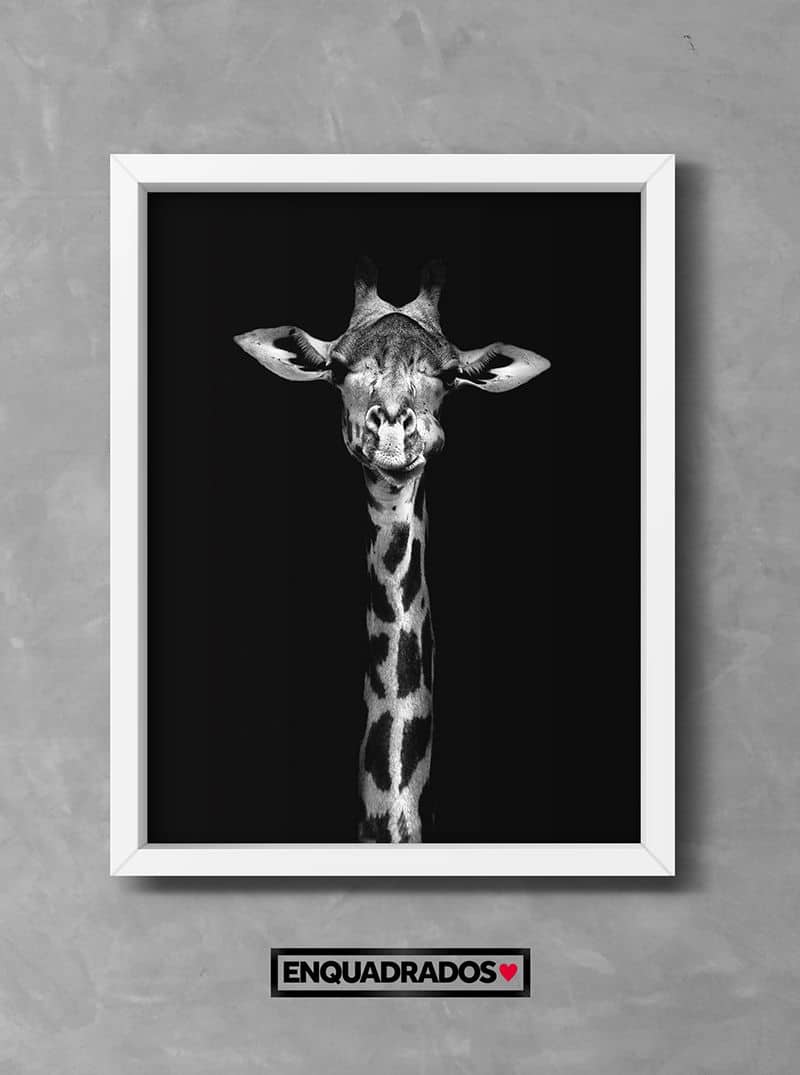 Quadro Girafa Black decorativos